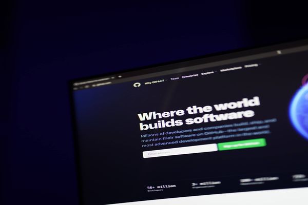 Searching github Organisations